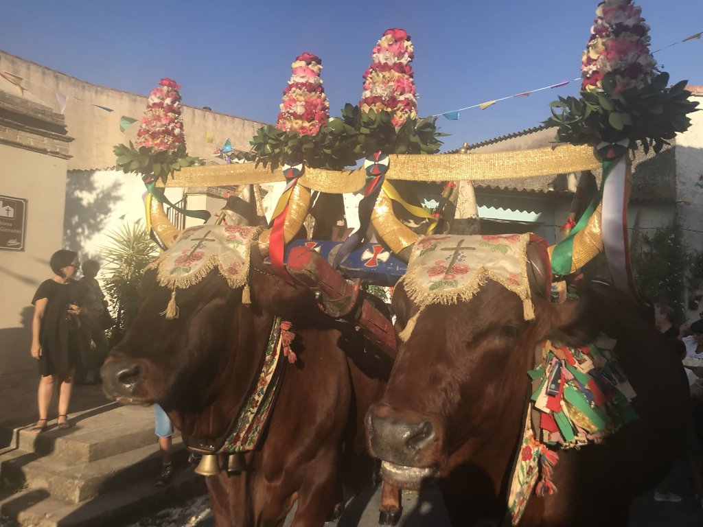 Sagra delle Pesche, traditionell mit einer Prozession. Der heilige San Sperate wird von zwei Ochsen durch die Straßen gezogen.